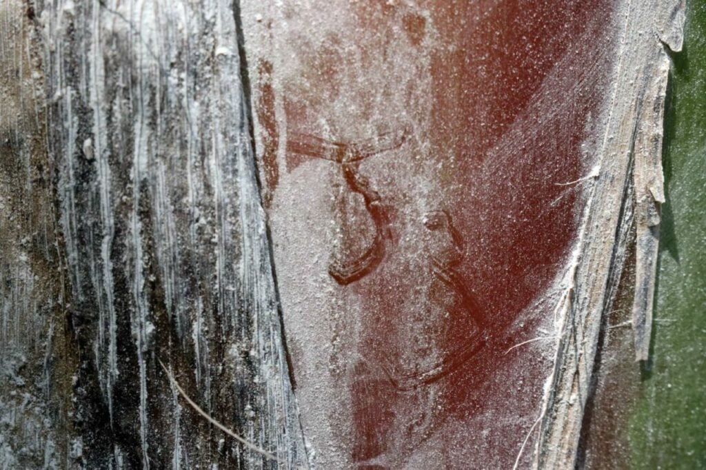 รูปภาพนี้มี Alt แอตทริบิวต์เป็นค่าว่าง ชื่อไฟล์คือ IMG_7714-2-1024x682.jpg