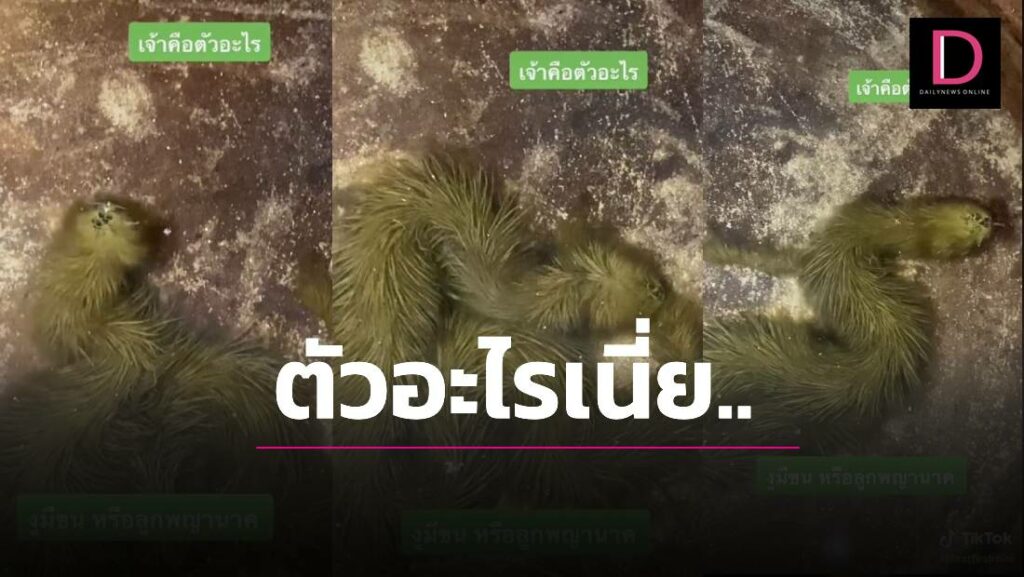 รูปภาพนี้มี Alt แอตทริบิวต์เป็นค่าว่าง ชื่อไฟล์คือ Website-Template-1100x62023-8-1024x577-1.jpg