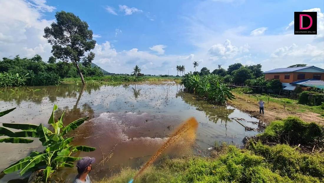 สนับสนุนสารเร่งพด.6 บำบัดน้ำเน่าเสียแนะแนวทางฟื้นฟูดินหลังน้ำลด | เดลินิวส์