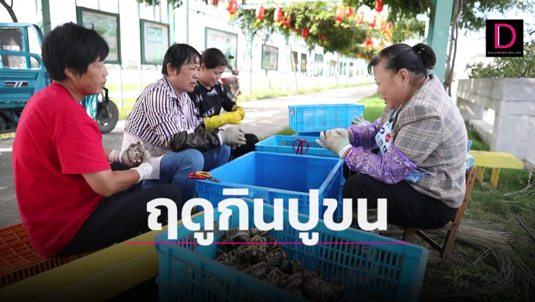 ฤดูใบไม้ร่วงชาวจีนนิยมกินปูขน เพราะมันจะอ้วนที่สุด