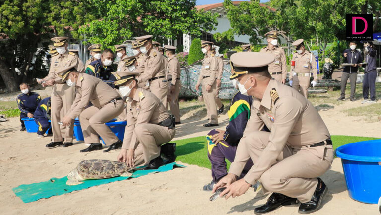 สังคมภูมิภาคตะวันออก