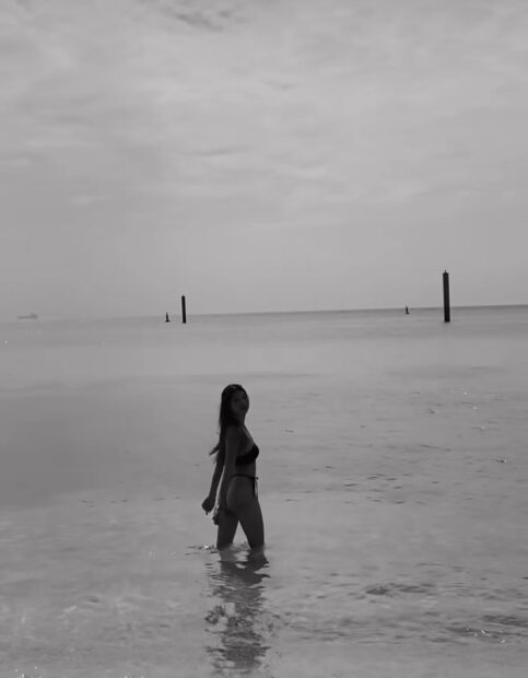 S__11493485