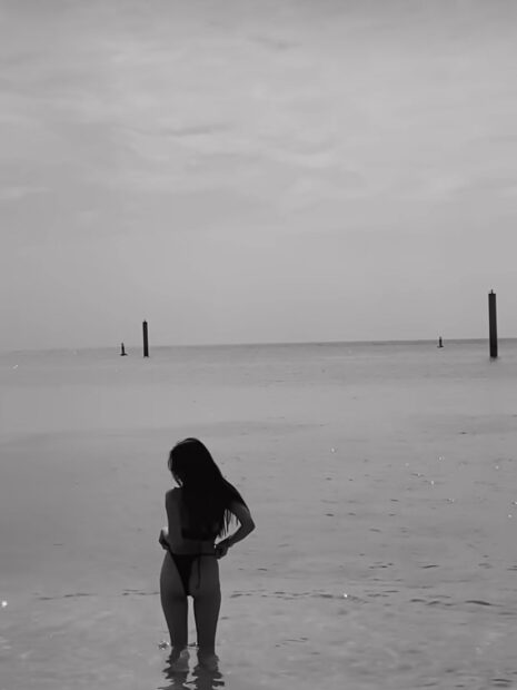 S__11493487