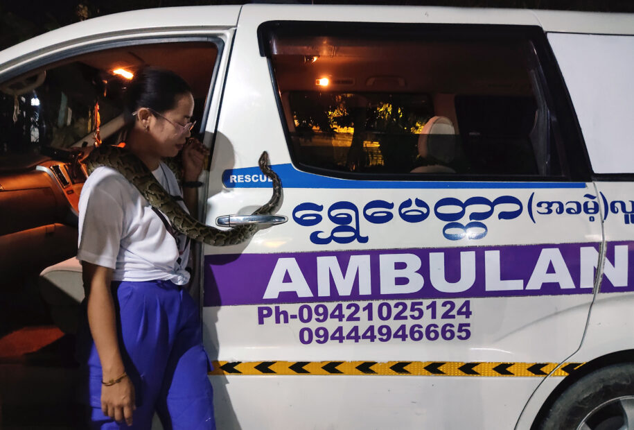 MYANMAR-ENVIRONMENT-ANIMAL-SNAKES