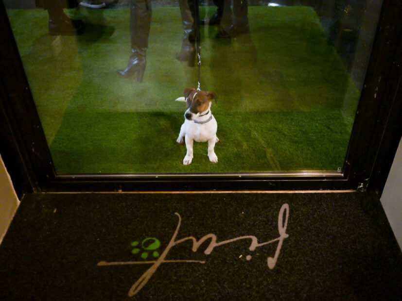 ITALY-FOOD-ANIMAL-RESTAURANT