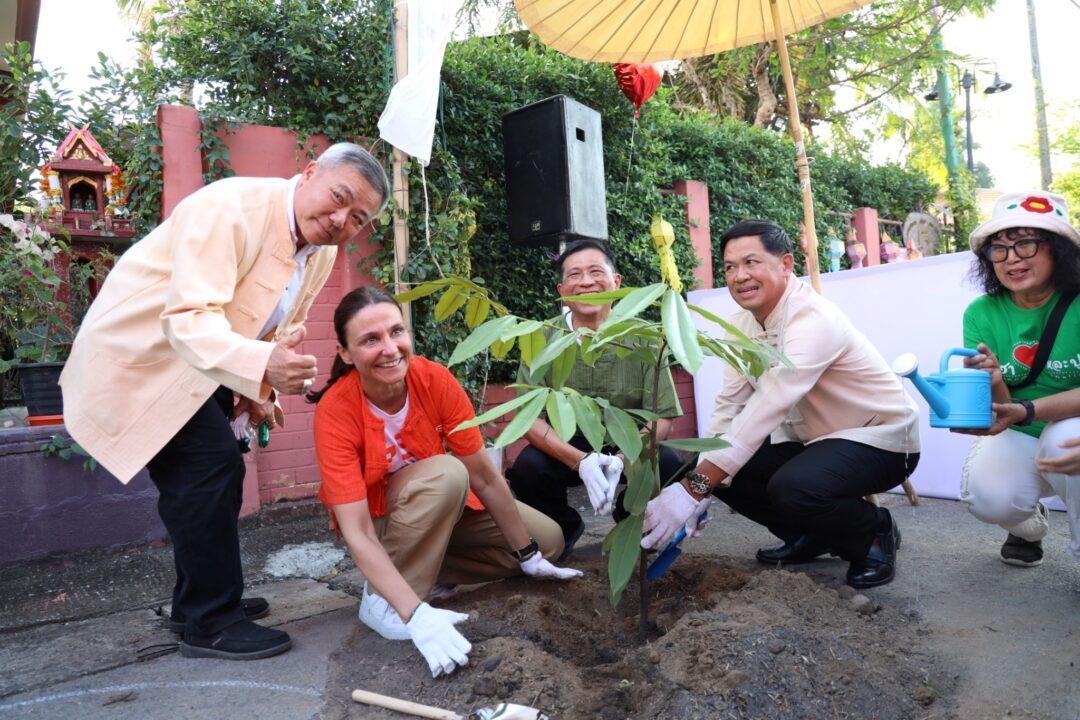 Lamphun_Healing_Town 8_0_0