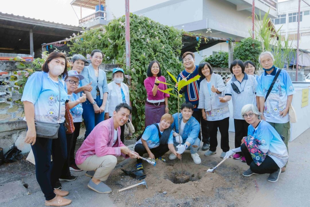 Lamphun_Healing_Town 9_0_0
