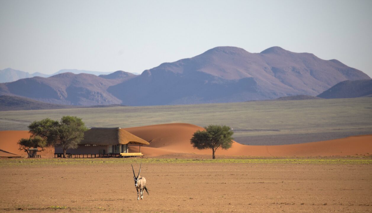 03 Kwessi Dunes - Room exterior and oryx