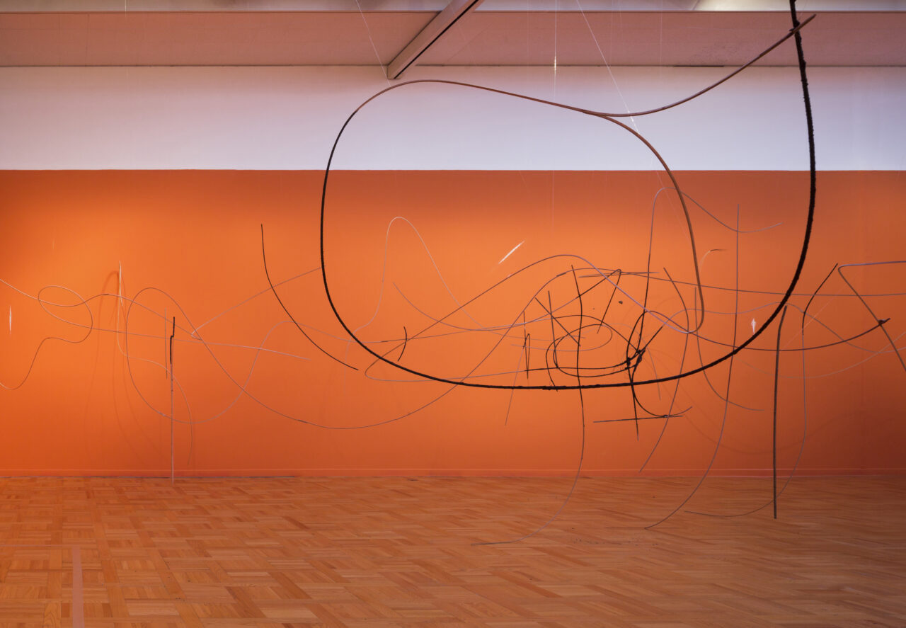 accompany_4. JHR, US2-MIGRATION, 2024, Mixed media, variable installation