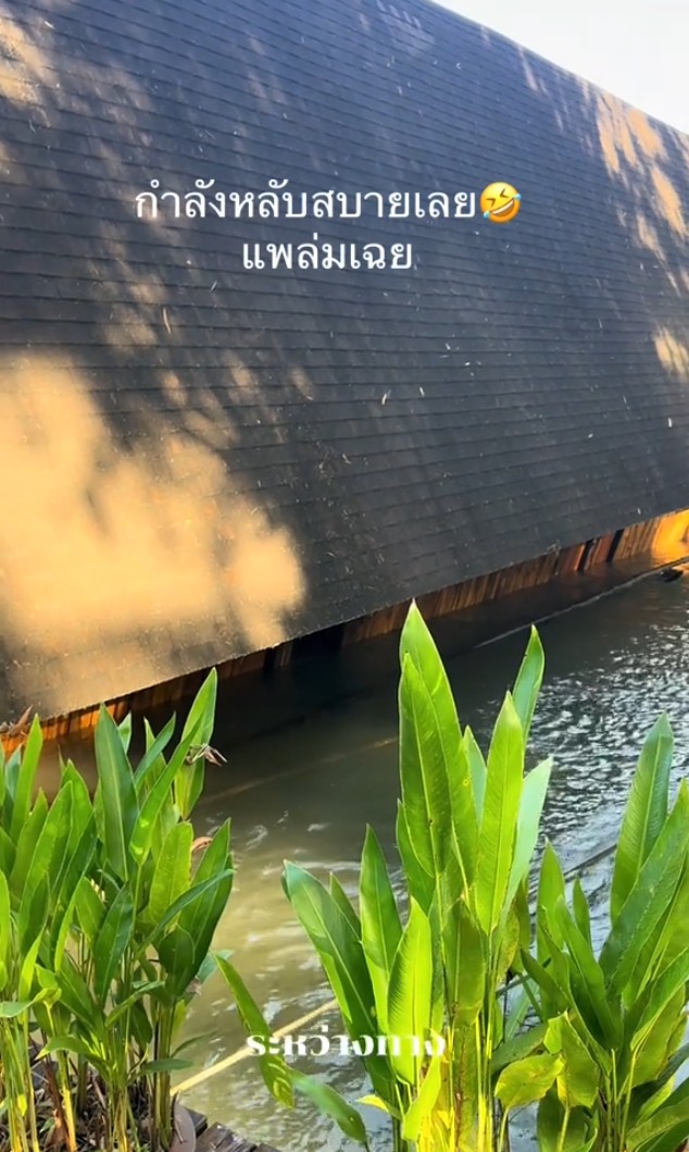 messageImage_1735176695449_0