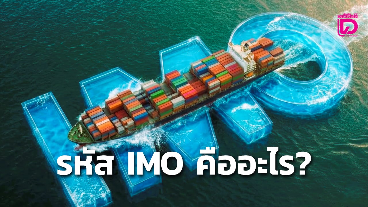 รู้จัก IMO Number ‘รหัสประจำตัวเรือ’ มาตรฐานโลกที่เรือทุกลำต้องมี ...