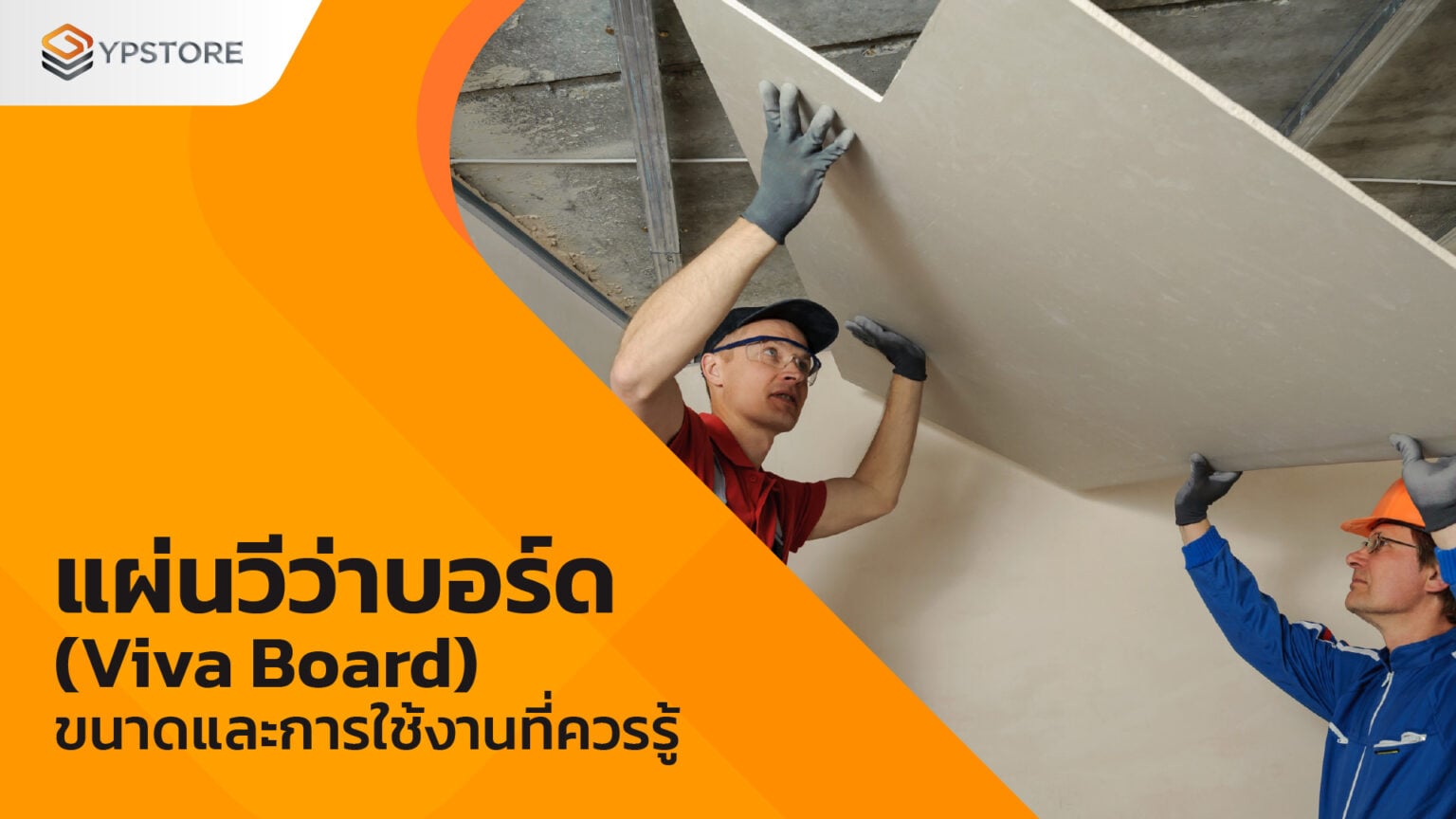 แผ่นวีว่าบอร์ด