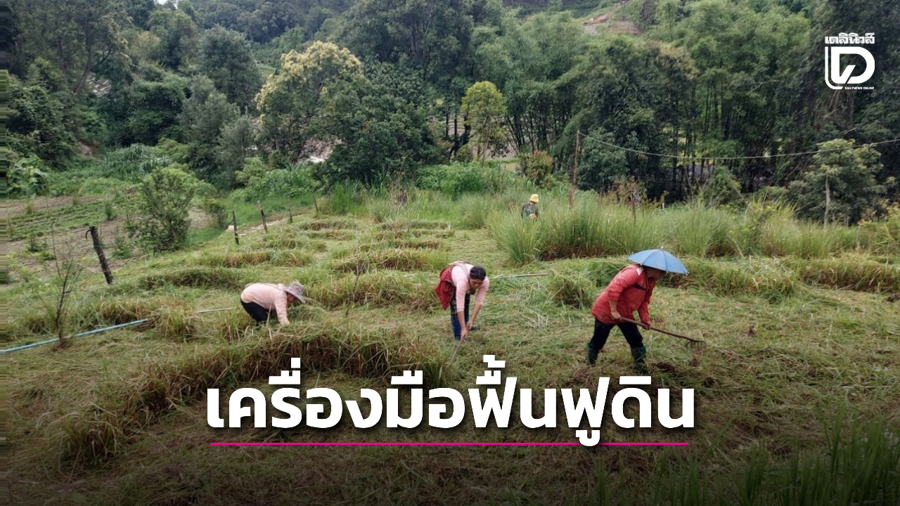 “หญ้าแฝก “เครื่องมือฟื้นฟูดินและสร้างภูมิคุ้มกันให้เกษตรกรไทย